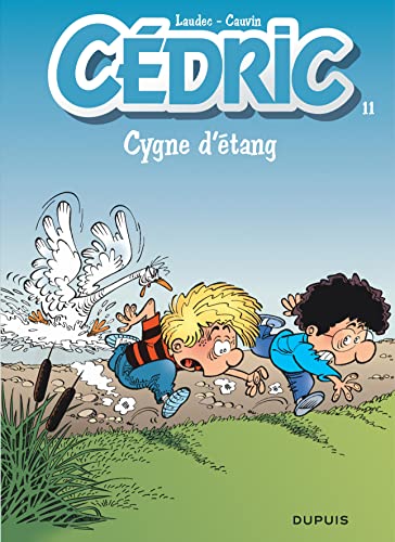 Cédric T11 / Cygne d'étang